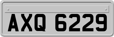 AXQ6229