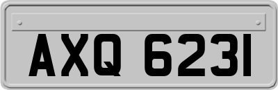 AXQ6231