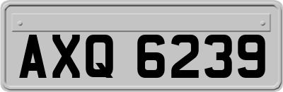 AXQ6239