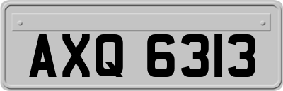 AXQ6313