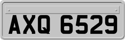 AXQ6529