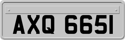 AXQ6651