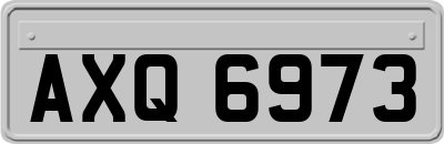 AXQ6973