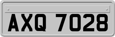 AXQ7028