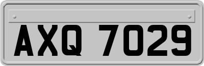AXQ7029