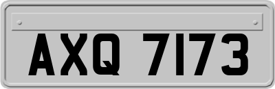 AXQ7173