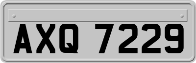 AXQ7229