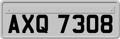 AXQ7308