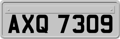 AXQ7309