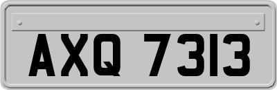 AXQ7313