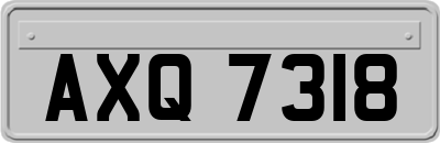 AXQ7318