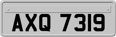 AXQ7319