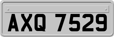 AXQ7529