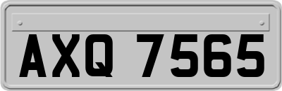 AXQ7565