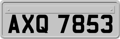 AXQ7853