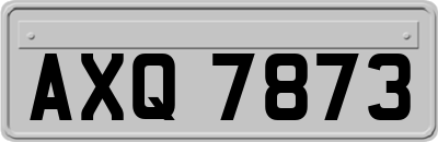 AXQ7873