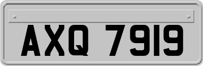 AXQ7919