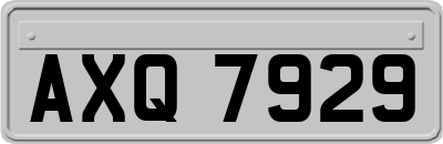 AXQ7929