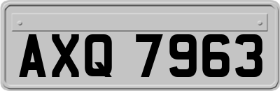 AXQ7963