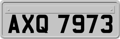 AXQ7973