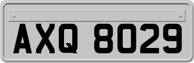 AXQ8029