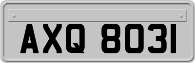 AXQ8031