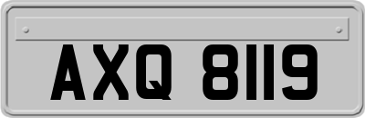 AXQ8119
