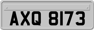 AXQ8173