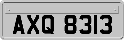 AXQ8313