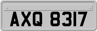 AXQ8317