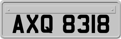 AXQ8318