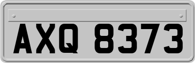 AXQ8373