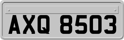 AXQ8503