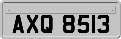 AXQ8513