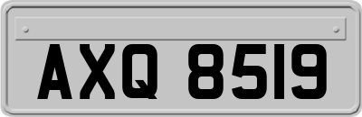AXQ8519