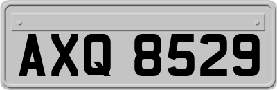 AXQ8529