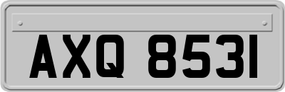 AXQ8531