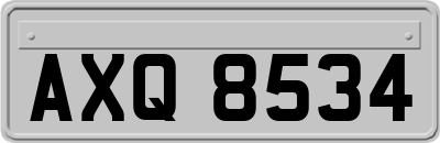 AXQ8534