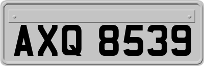 AXQ8539