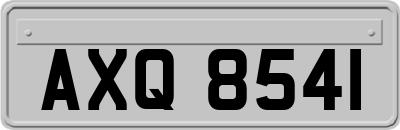 AXQ8541
