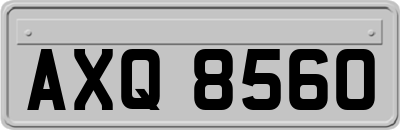 AXQ8560