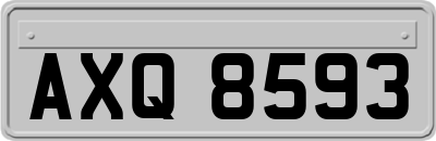 AXQ8593