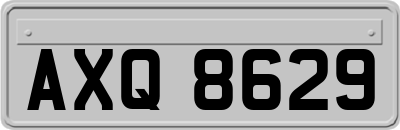 AXQ8629
