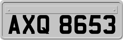 AXQ8653