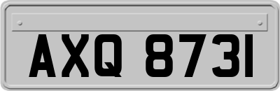 AXQ8731
