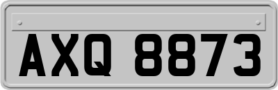 AXQ8873