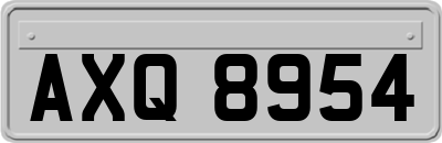AXQ8954
