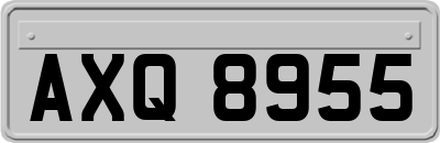 AXQ8955