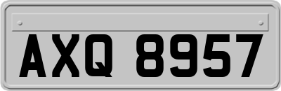AXQ8957