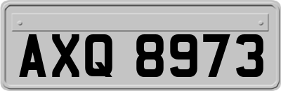 AXQ8973